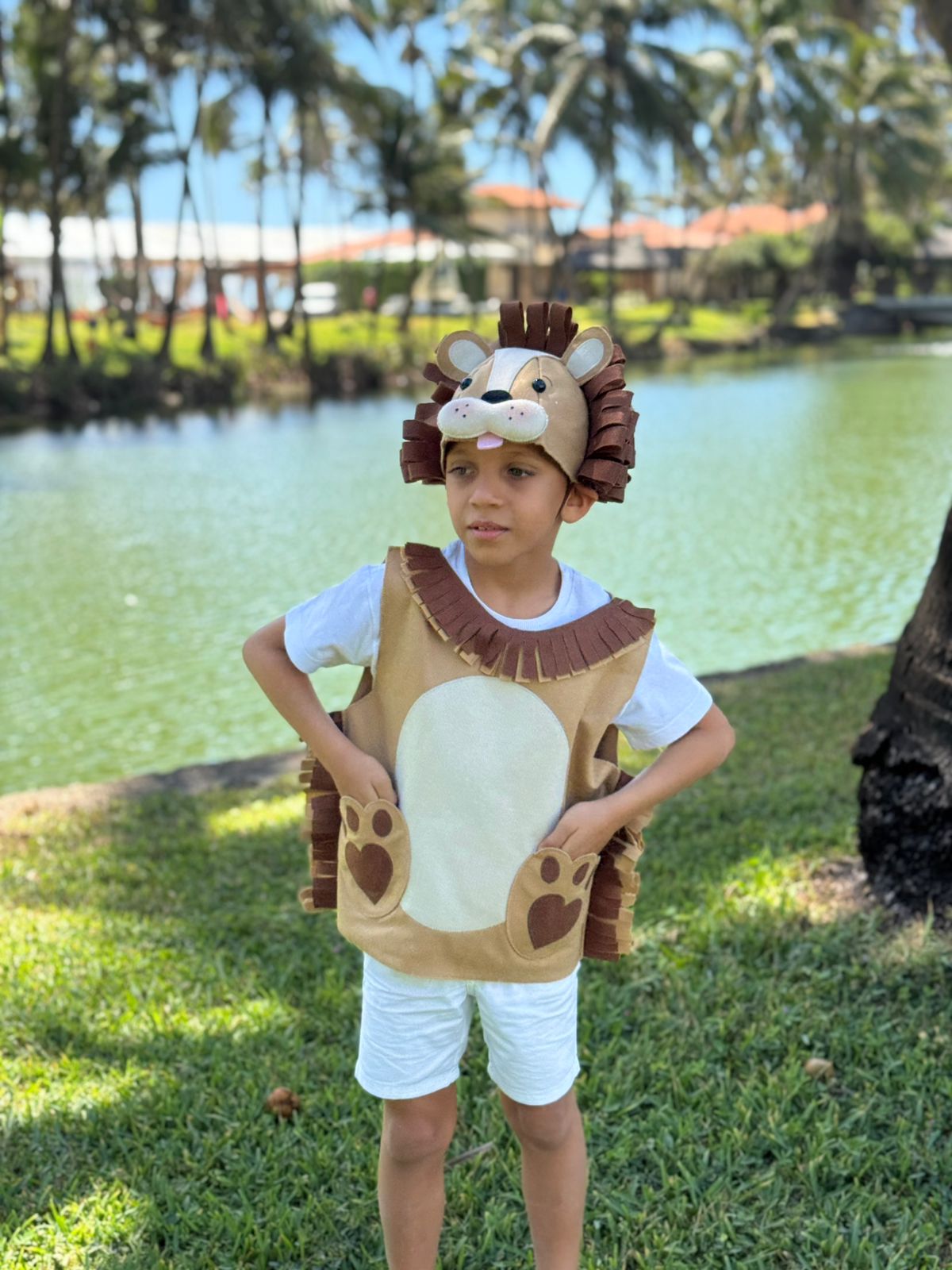 Molde - Kit Colete + Touca Leão